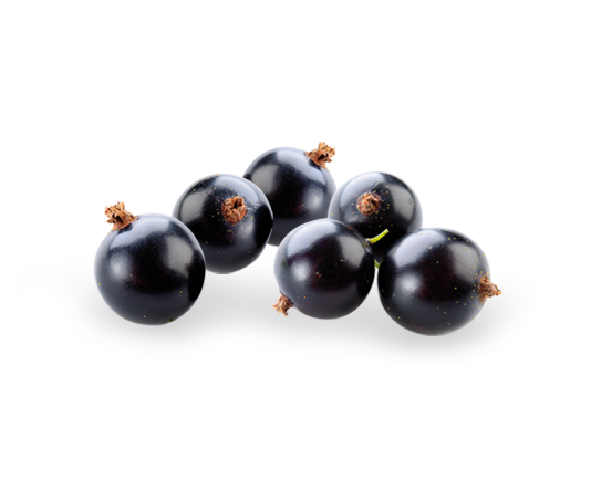 Blackcurrant