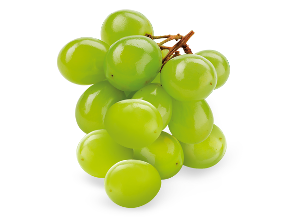 White Grapes