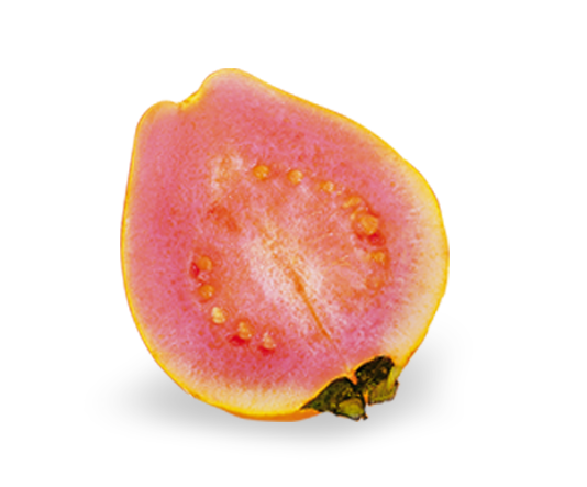 Guava