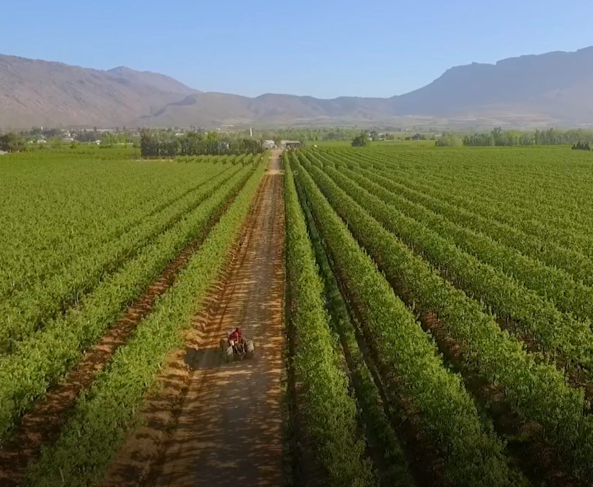 Discover the Ceres Valley