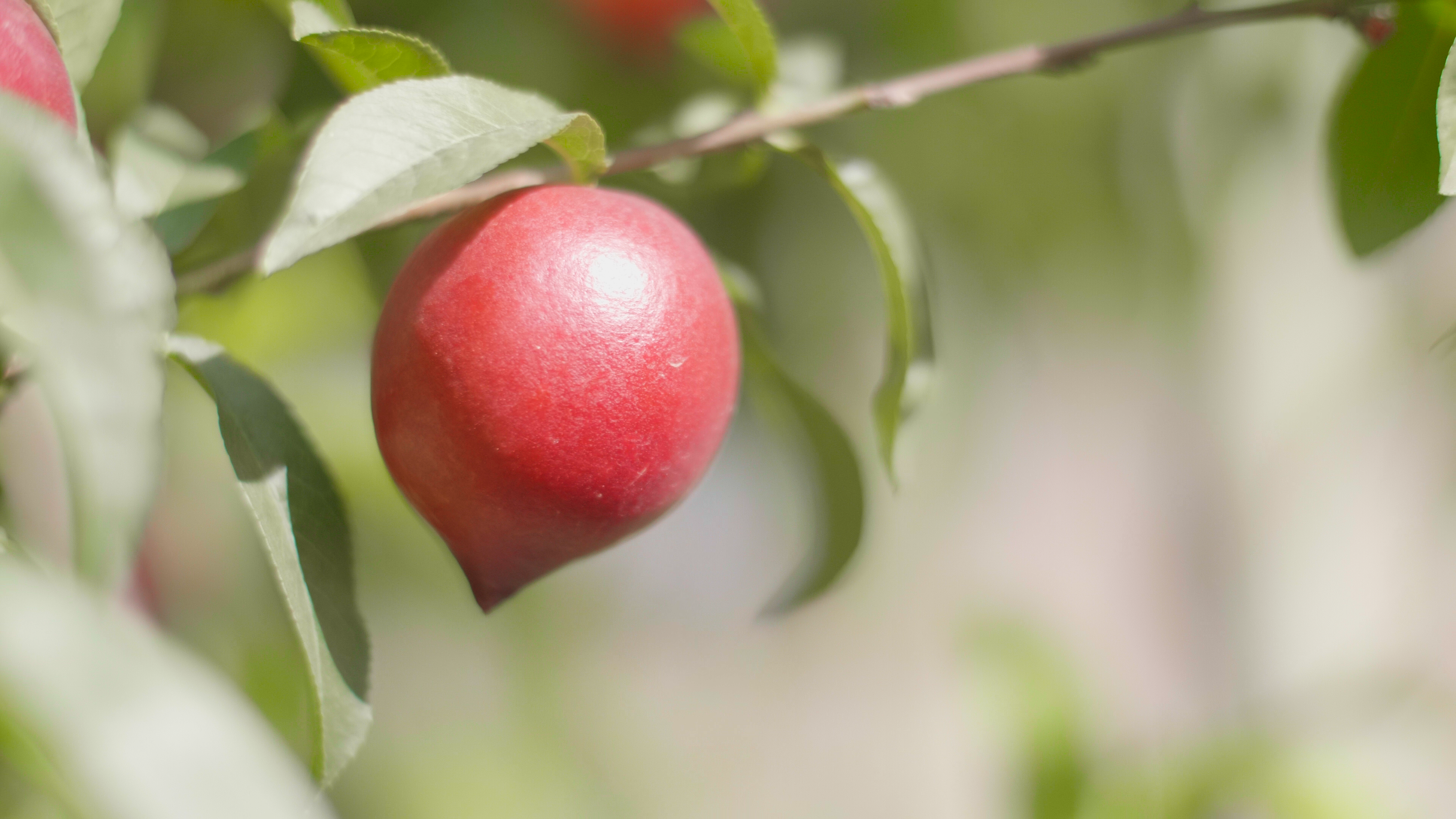 Como levamos a qualidade até a sua casa