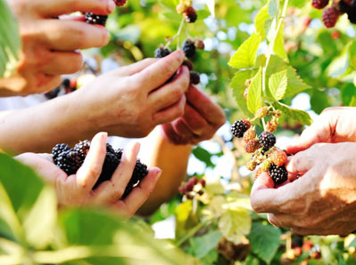 As Estações do Vale de Ceres